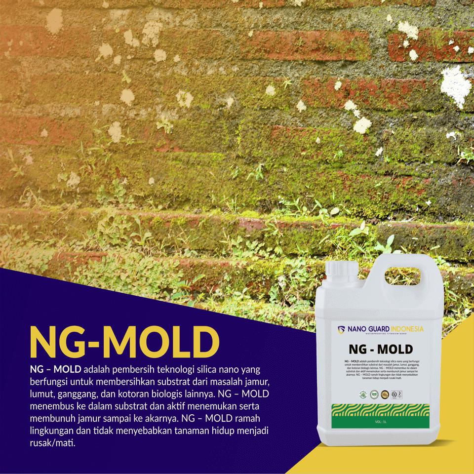 NG MOLD 2