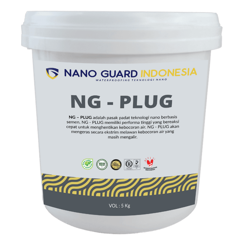 ng plug